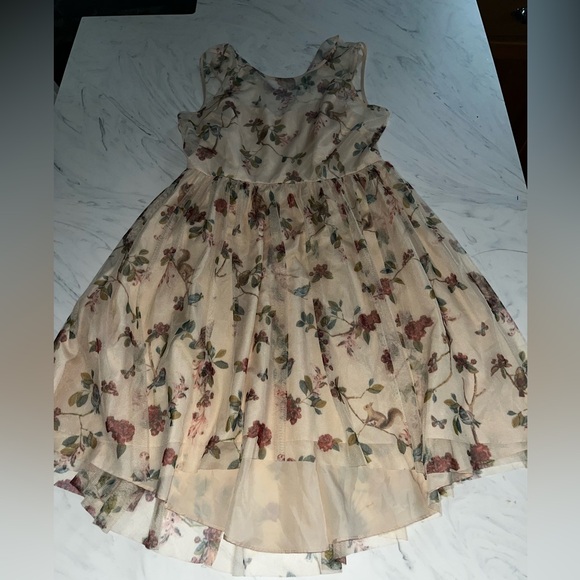 Disney Dresses & Skirts - LC Disney Owl Squirrel Bird Sweetheart Mesh Dress 12 snow white